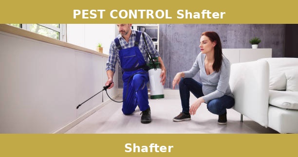 PEST CONTROL Shafter